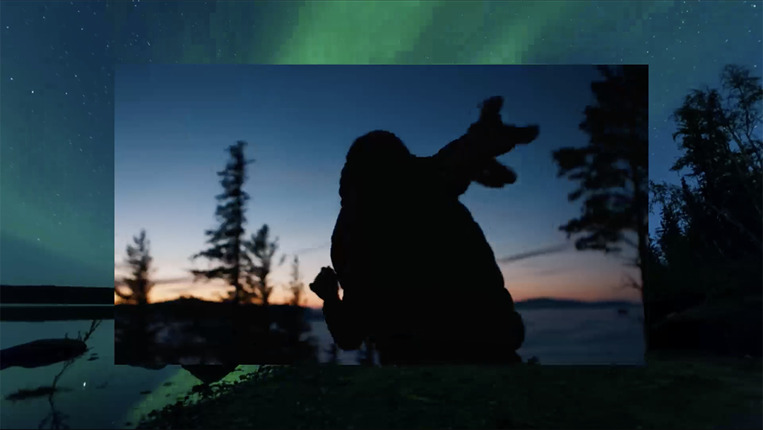 Silhouette of a person standing outdoors against a twilight sky, pointing upward. Trees frame the scene, with the Northern Lights creating a green glow in the sky above the horizon.
