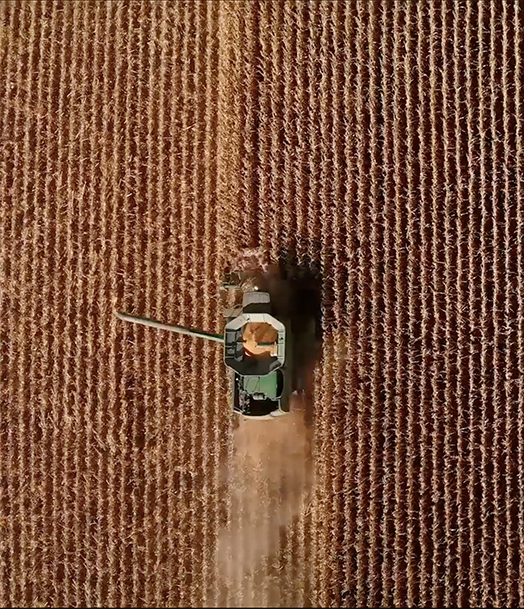 Aerial view of a green harvester cutting through a golden wheat field. The tractor leaves a trail of harvested crops behind it, creating a distinct contrast between the cut and uncut areas of the field.