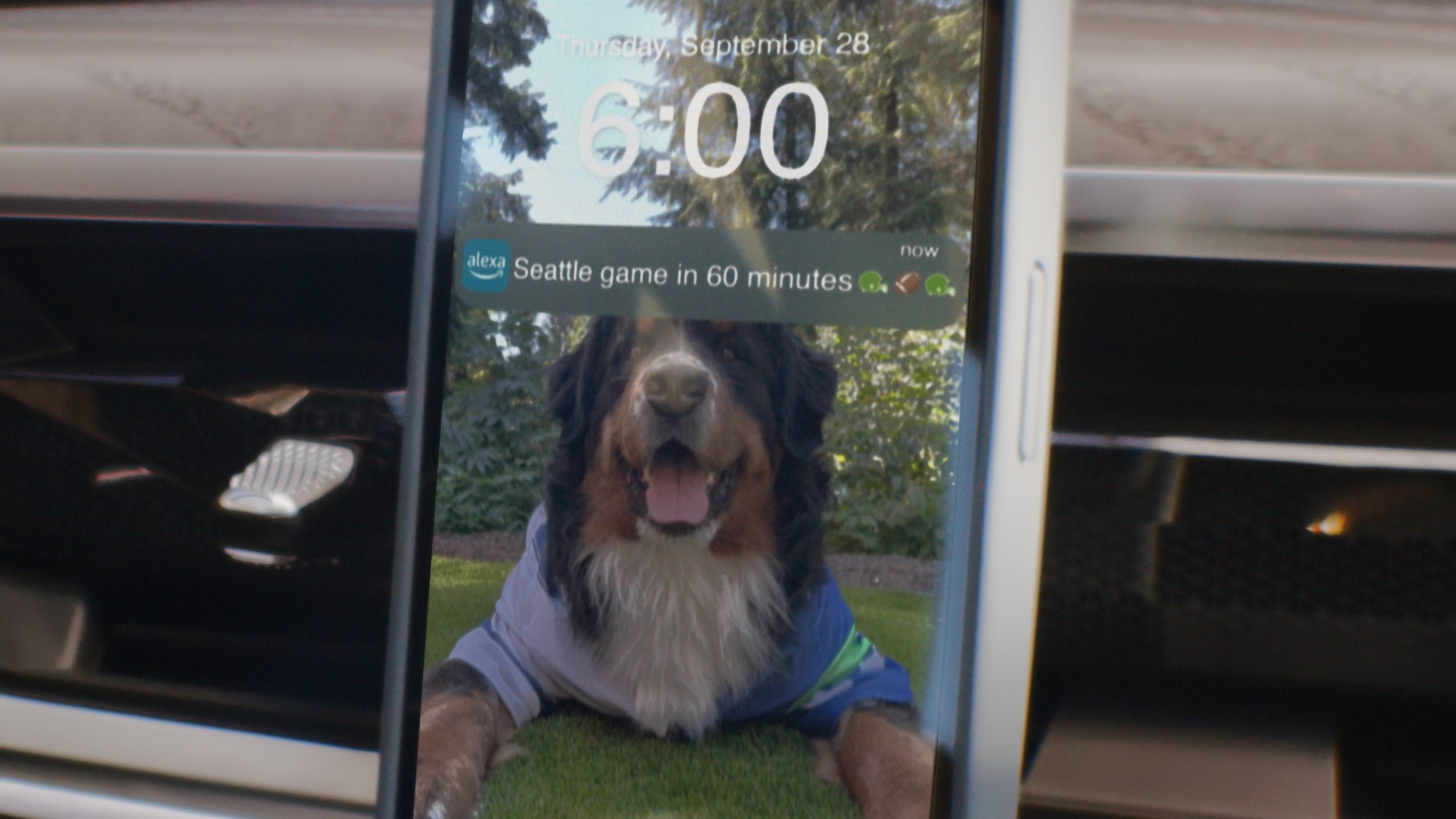 Picture of dog on mobile phone screen